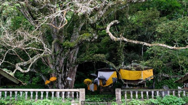 Sự kỳ lạ đến bất ngờ bên cây cổ thụ của một ngôi làng tại Bali - Hình 7 Su ky la den bat ngo ben cay co thu cua mot ngoi lang tai Bali-Hinh-7
