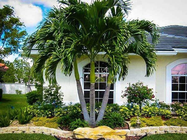 4 loại cây trồng trước cửa tăng lộc khí, nhà giàu nào cũng có 4 loai cay trong truoc cua tang loc khi, nha giau nao cung co