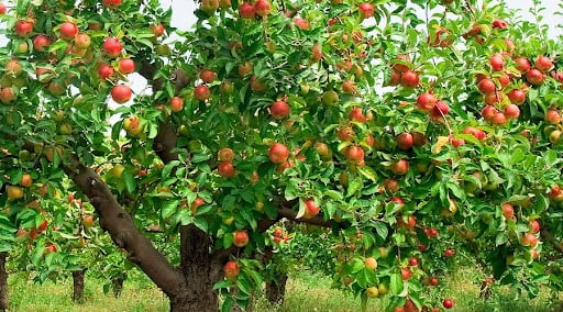 5 giấc mơ báo hiệu tương lai rộng mở, cuộc đời sang trang mới 5 giac mo bao hieu tuong lai rong mo, cuoc doi sang trang moi