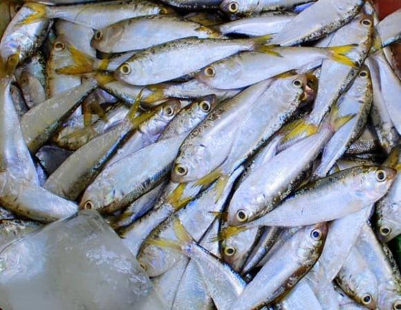 5 loại thịt lành mạnh nhất nên ăn, giúp tránh xa bệnh tật - Hình 4 5 loai thit lanh manh nhat nen an, giup tranh xa benh tat-Hinh-4