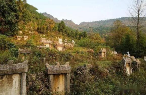 Nếu trong nghĩa trang có rắn, con cháu sẽ gặp đại sự - Hình 2 Neu trong nghia trang co ran, con chau se gap dai su-Hinh-2