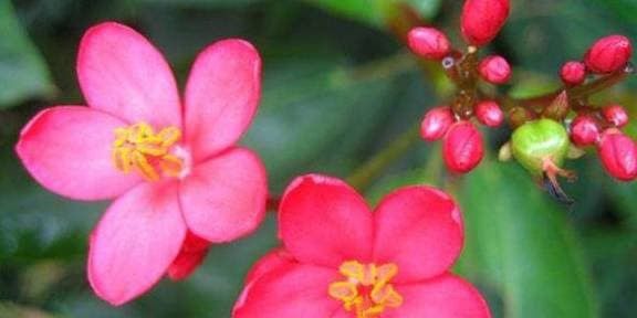 Bé nam sinh vào giờ này là người có đức có tài - Hình 3 Be nam sinh vao gio nay la nguoi co duc co tai-Hinh-3