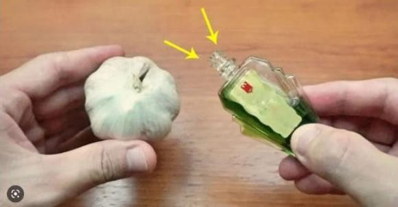 Trời mưa ẩm, chỉ cần đổ dầu gió vào tỏi đuổi muỗi hiệu quả - Hình 2 Troi mua am, chi can do dau gio vao toi duoi muoi hieu qua-Hinh-2