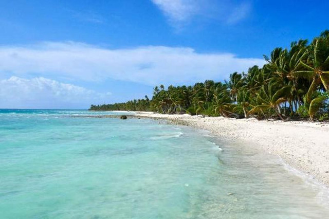 Tàu ma chở hơn nửa tấn ma túy trôi dạt ở Thái Bình Dương Tau ma cho hon nua tan ma tuy troi dat o Thai Binh Duong