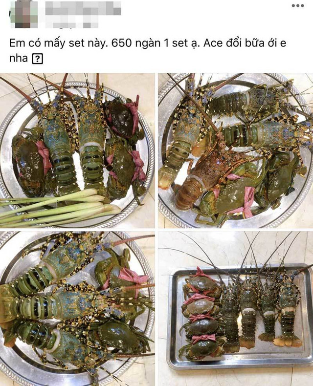 Hải sản rẻ chưa từng có, nhiều người dân chọn mua theo mâm Hai san re chua tung co, nhieu nguoi dan chon mua theo mam