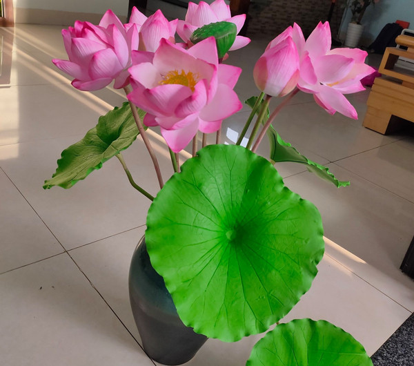Bắt đất sét nở hoa, bán giá hàng triệu đồng - Hình 4 Bat dat set no hoa, ban gia hang trieu dong-Hinh-4