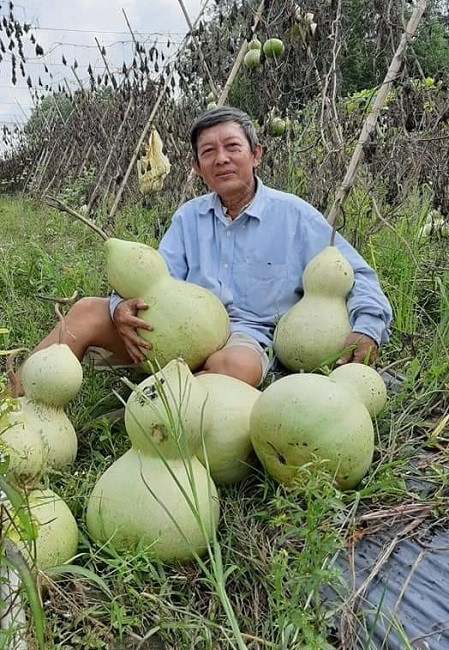 Lão nông sở hữu vườn bầu tiên độc nhất vô nhị - Hình 3 Lao nong so huu vuon bau tien doc nhat vo nhi-Hinh-3