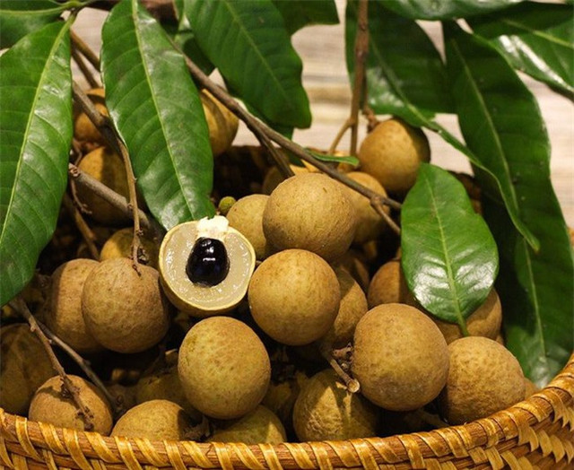 Phụ nữ sau 35 tuổi ăn thêm 6 loại thực phẩm vàng này - Hình 3 Phu nu sau 35 tuoi an them 6 loai thuc pham vang nay-Hinh-3