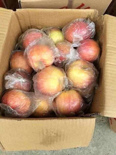Nguồn gốc loại táo đá siêu rẻ được đồn là đặc sản Hà Giang - Hình 3 Nguon goc loai tao da sieu re duoc don la dac san Ha Giang-Hinh-3