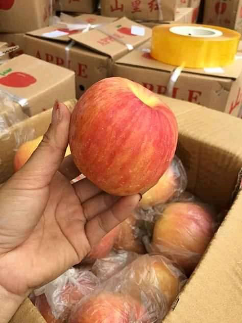 Nguồn gốc loại táo đá siêu rẻ được đồn là đặc sản Hà Giang - Hình 4 Nguon goc loai tao da sieu re duoc don la dac san Ha Giang-Hinh-4