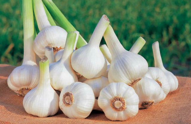 5 thực phẩm vàng ngăn ngừa nguy cơ đột quỵ 5 thuc pham vang ngan ngua nguy co dot quy