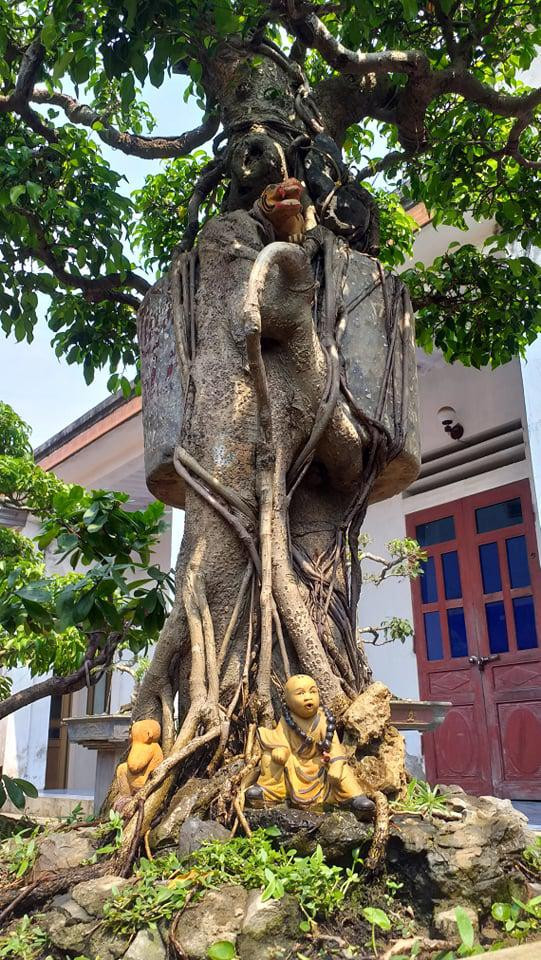 Cây cảnh Chuyện tình cây và cối thế độc lạ thu hút khách quan - Hình 3 Cay canh Chuyen tinh cay va coi the doc la thu hut khach quan-Hinh-3