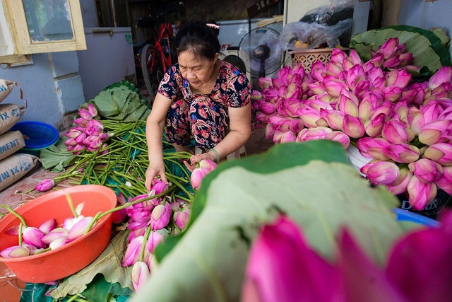 Đại gia Hà Nội tìm mua 'đệ nhất trà' đắt nhất Việt Nam Dai gia Ha Noi tim mua 'de nhat tra' dat nhat Viet Nam