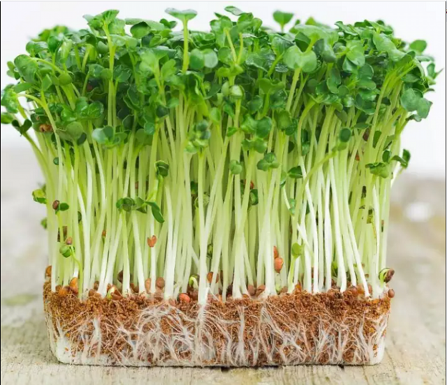 8 thực phẩm này nếu chế biến không dúng cách dễ gây hại cho sức khỏe - Hình 2 8 thuc pham nay neu che bien khong dung cach de gay hai cho suc khoe-Hinh-2