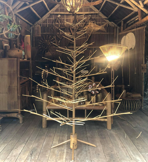 Cây thông Noel không có nổi một chiếc lá nhưng giá cả triệu đồng Cay thong Noel khong co noi mot chiec la nhung gia ca trieu dong