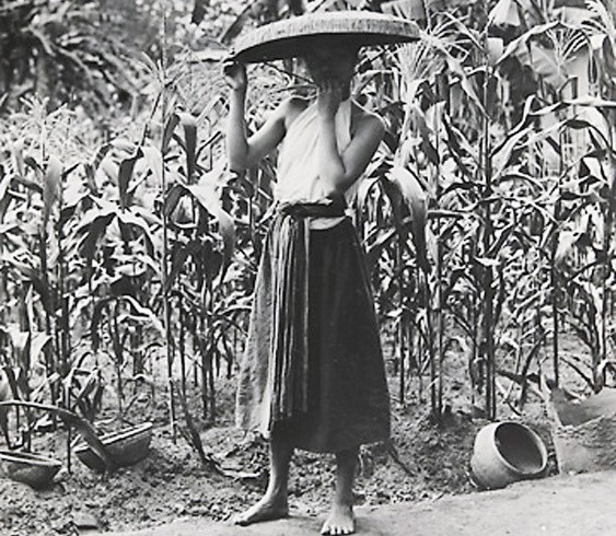 Người Việt gọi cơm tẻ là mẹ ruột vì sao? - Hình 3 Nguoi Viet goi com te la me ruot vi sao?-Hinh-3