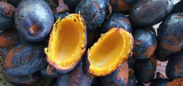 Thứ quả đen sì rụng đầy đồi bỗng dưng thành đặc sản gây nghiện - Hình 3 Thu qua den si rung day doi bong dung thanh dac san gay nghien-Hinh-3