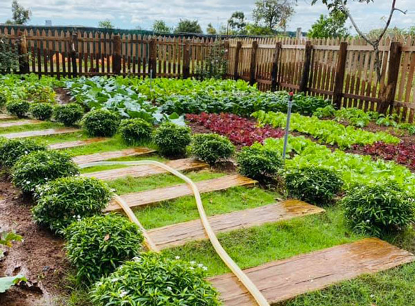 9x biến nhà cũ nát thành nơi ở đẹp như cổ tích - Hình 3 9x bien nha cu nat thanh noi o dep nhu co tich-Hinh-3