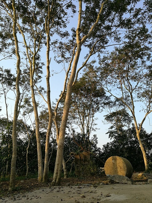 Kho báu nghìn tỷ dưới thung lũng của lão nông Tuyên Quang - Hình 2 Kho bau nghin ty duoi thung lung cua lao nong Tuyen Quang-Hinh-2