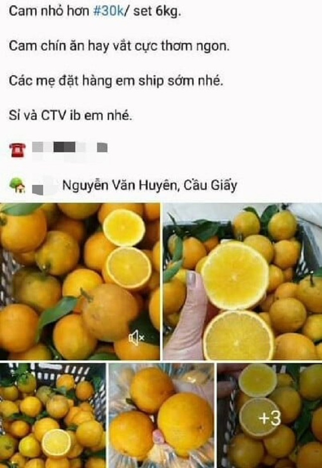 Người bán tiết lộ vì sao Cam Vinh chỉ 5 nghìn đồng/kg - Hình 3 Nguoi ban tiet lo vi sao Cam Vinh chi 5 nghin dong/kg-Hinh-3