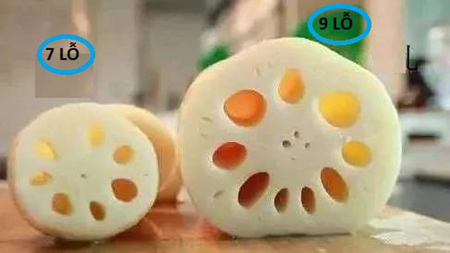 Bí mật ít người biết về củ sen tươi 7 lỗ và 9 lỗ - Hình 6 Bi mat it nguoi biet ve cu sen tuoi 7 lo va 9 lo-Hinh-6