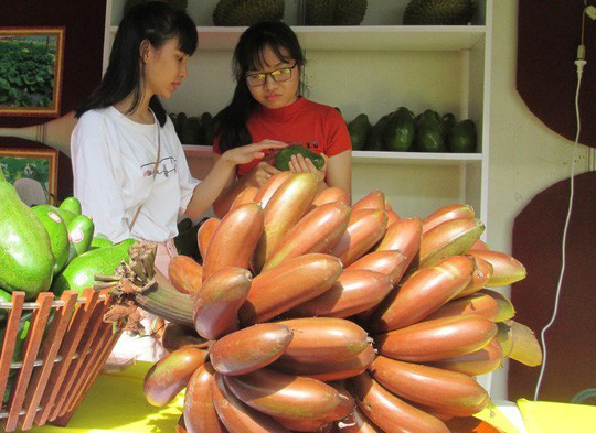 Loại chuối xấu chưa từng có nhưng ăn lại cực ngon Loai chuoi xau chua tung co nhung an lai cuc ngon