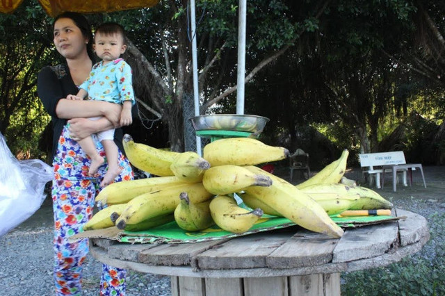 Loại chuối xấu chưa từng có nhưng ăn lại cực ngon - Hình 7 Loai chuoi xau chua tung co nhung an lai cuc ngon-Hinh-7