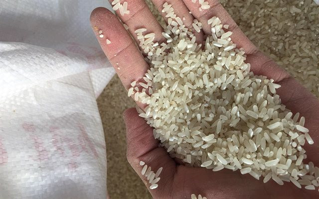 Chất độc chết người ngay trong chính gian bếp nhà bạn - Hình 3 Chat doc chet nguoi ngay trong chinh gian bep nha ban-Hinh-3