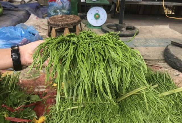 2 thứ bốc mùi thối nồng nặc mà vẫn đắt khách - Hình 2 2 thu boc mui thoi nong nac ma van dat khach-Hinh-2
