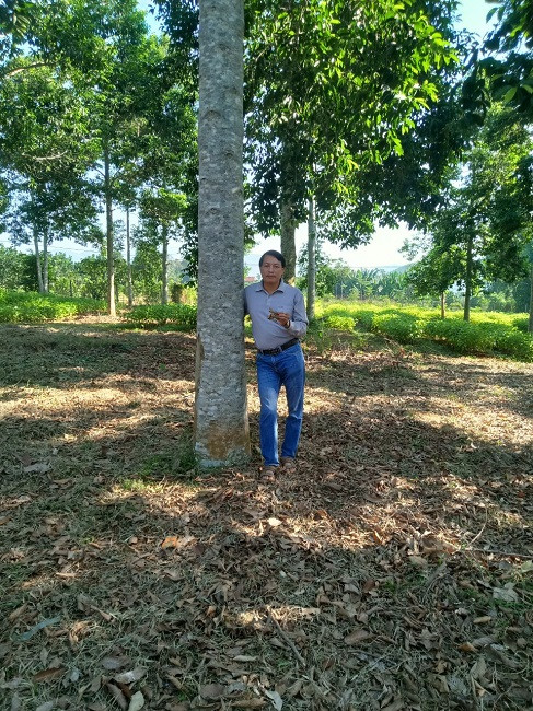 Lão nông thu về hàng tỷ đồng mỗi vụ khi trồng loại cây này - Hình 5 Lao nong thu ve hang ty dong moi vu khi trong loai cay nay-Hinh-5