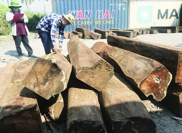 Tìm chủ lô hàng 60 container gỗ bị 'bỏ quên' tại cảng Tim chu lo hang 60 container go bi 'bo quen' tai cang
