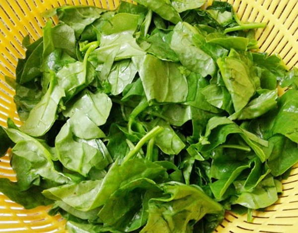 Lợi ích vàng của rau mồng tơi nhiều người chưa biết Loi ich vang cua rau mong toi nhieu nguoi chua biet