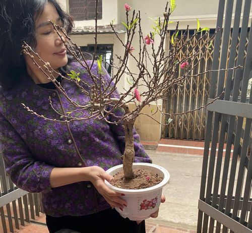 Thích thú với những chậu quất cảnh để bàn bé xíu - Hình 11 Thich thu voi nhung chau quat canh de ban be xiu-Hinh-11