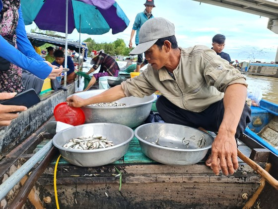 Nước tràn đồng ở Đồng Tháp Mười, dân đi bắt sản vật kiếm 1 triệu/ngày - Hình 2 Nuoc tran dong o Dong Thap Muoi, dan di bat san vat kiem 1 trieu/ngay-Hinh-2