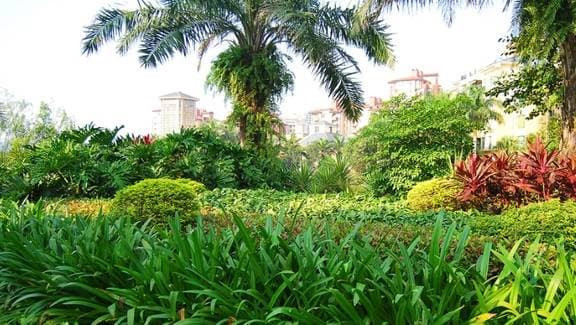 Người sinh vào 8 ngày này âm lịch, nam nữ đều có phúc Nguoi sinh vao 8 ngay nay am lich, nam nu deu co phuc