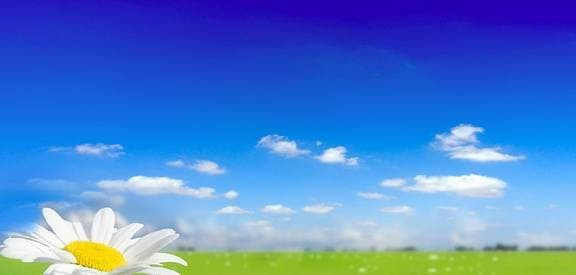 Người sinh vào 8 ngày này âm lịch, nam nữ đều có phúc - Hình 2 Nguoi sinh vao 8 ngay nay am lich, nam nu deu co phuc-Hinh-2