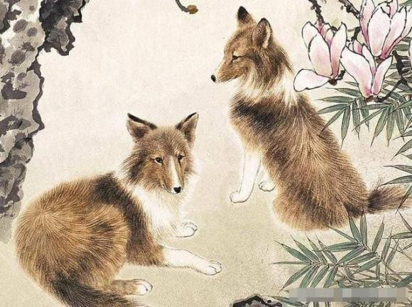 Người tuổi Tuất sinh vào 4 năm sau đây đại phú đại quý - Hình 3 Nguoi tuoi Tuat sinh vao 4 nam sau day dai phu dai quy-Hinh-3