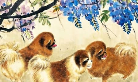 Người tuổi Tuất sinh vào 4 năm sau đây đại phú đại quý Nguoi tuoi Tuat sinh vao 4 nam sau day dai phu dai quy
