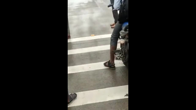 Video: Cảnh sát giao thông chặn xe, nhường đường cho hổ dữ Video: Canh sat giao thong chan xe, nhuong duong cho ho du