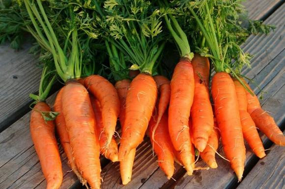 5 loại rau "khắc tinh" của ung thư, ngoài chợ giá rẻ bèo - Hình 2 5 loai rau