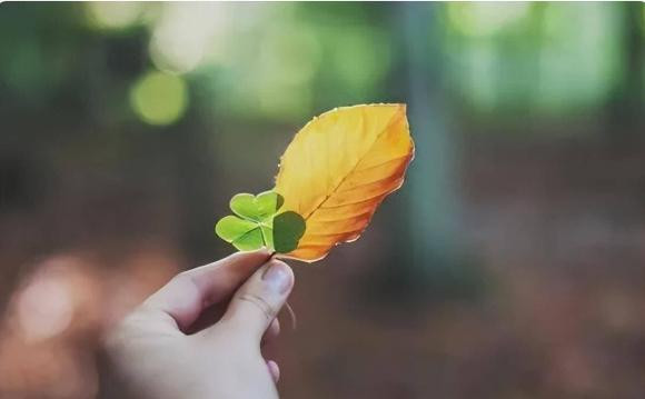 Khởi đầu của một gia đình sa sút không phải là thiếu tiền - Hình 3 Khoi dau cua mot gia dinh sa sut khong phai la thieu tien-Hinh-3