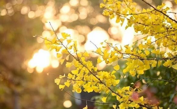Khởi đầu của một gia đình sa sút không phải là thiếu tiền - Hình 4 Khoi dau cua mot gia dinh sa sut khong phai la thieu tien-Hinh-4