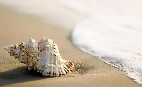 Khởi đầu của một gia đình sa sút không phải là thiếu tiền - Hình 2 Khoi dau cua mot gia dinh sa sut khong phai la thieu tien-Hinh-2