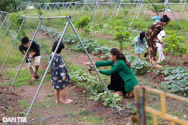"Hoa hậu 6 con" Oanh Yến sống an yên tại nông trại 10ha - Hình 12