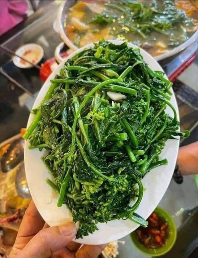Mầm, lá các loại rau củ trước bỏ đi nay thành đặc sản - Hình 6 Mam, la cac loai rau cu truoc bo di nay thanh dac san-Hinh-6
