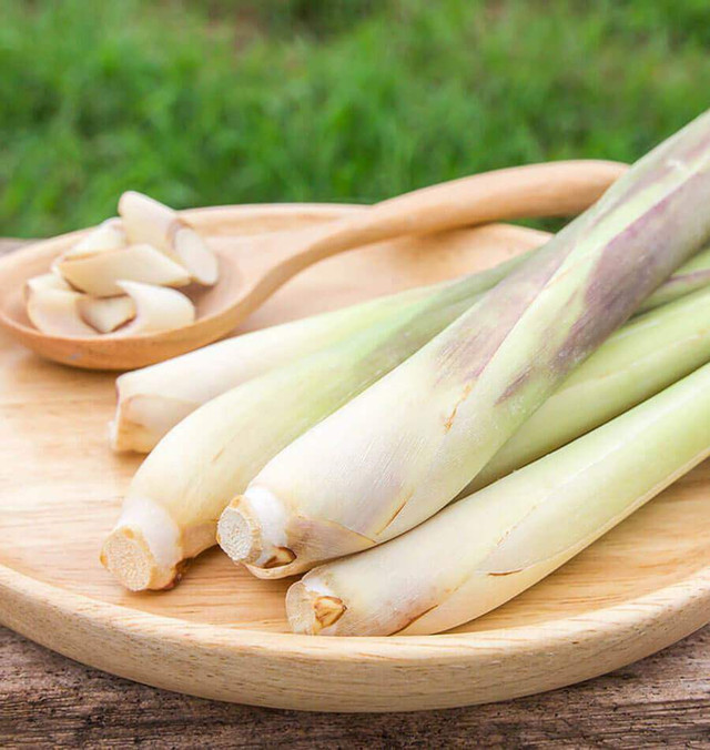 Loại cây gia vị nhẵn mặt với nhà nông, có 8 lợi ích không ngờ - Hình 2 Loai cay gia vi nhan mat voi nha nong, co 8 loi ich khong ngo-Hinh-2