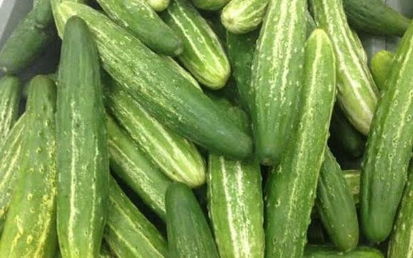 Mẹo chọn dưa chuột không sử dụng thuốc tăng trưởng - Hình 2 Meo chon dua chuot khong su dung thuoc tang truong-Hinh-2