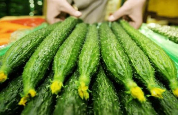 Mẹo chọn dưa chuột không sử dụng thuốc tăng trưởng Meo chon dua chuot khong su dung thuoc tang truong