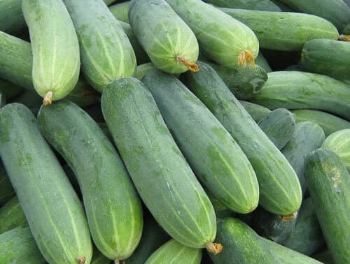 Mẹo chọn dưa chuột không sử dụng thuốc tăng trưởng - Hình 4 Meo chon dua chuot khong su dung thuoc tang truong-Hinh-4