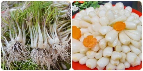Củ hành và củ kiệu khác nhau thế nào? - Hình 2 Cu hanh va cu kieu khac nhau the nao?-Hinh-2